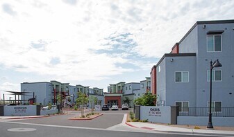 Oasis at the Wells in Maricopa, AZ - Building Photo