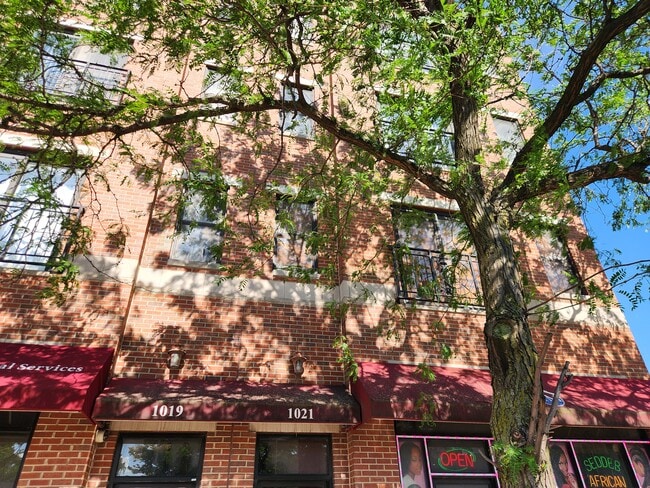 1019 S Western Ave, Unit 4
