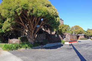 910 Capitola Ave in Capitola, CA - Building Photo