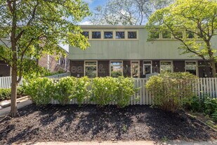 5217 S University Ave in Chicago, IL - Building Photo