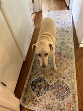 3463 Page St in Redwood City, CA - Foto de edificio - Building Photo