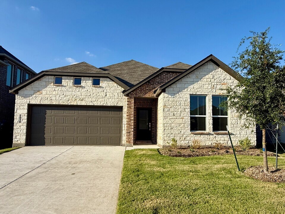 1816 Alpine Larch Ln in McKinney, TX - Building Photo