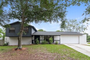 1447 Foggy Ridge Pkwy in Lutz, FL - Building Photo
