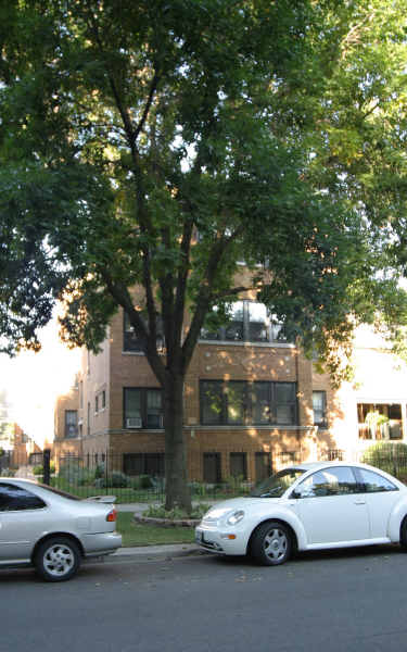 4420-4422 N Greenview Ave in Chicago, IL - Foto de edificio