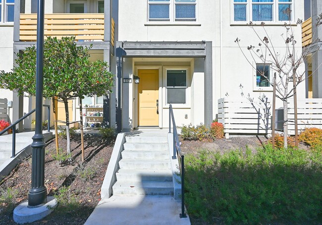 513 Sage Ct in Milpitas, CA - Building Photo - Building Photo