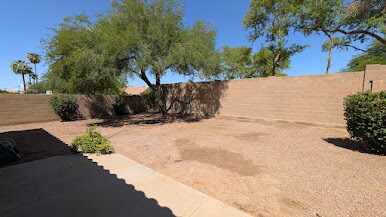 1150 W Seagull Dr in Chandler, AZ - Foto de edificio - Building Photo