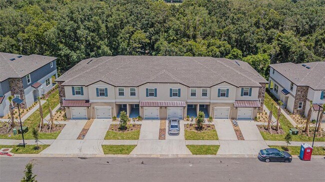 10210 Trumpet Honeysuckle Wy in San Antonio, FL - Building Photo - Building Photo