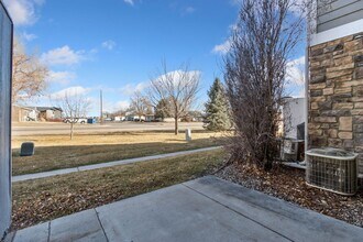 309 Buffalo Dr in Windsor, CO - Building Photo - Building Photo