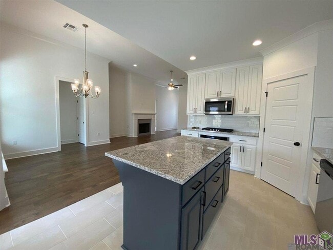 30156 Sanctuary Blvd in Denham Springs, LA - Foto de edificio - Building Photo