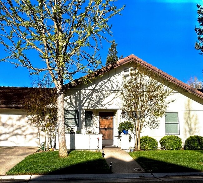 property at 1507 Olympic Dr