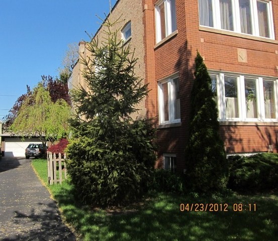 4546 N Kenton Ave in Chicago, IL - Building Photo - Building Photo