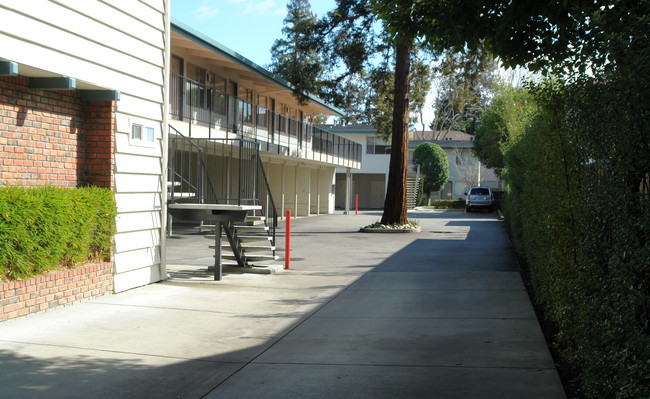 559 Matadero Ave in Palo Alto, CA - Building Photo - Building Photo