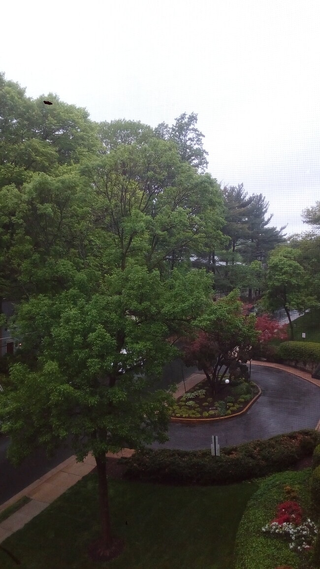 8601 Manchester Rd, Unit 406 in Silver Spring, MD - Foto de edificio - Building Photo