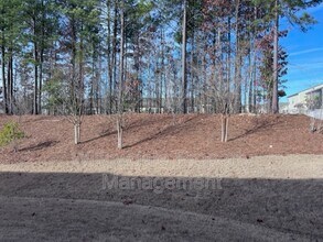 1132 Chestnut Bluff Run in Apex, NC - Building Photo - Building Photo