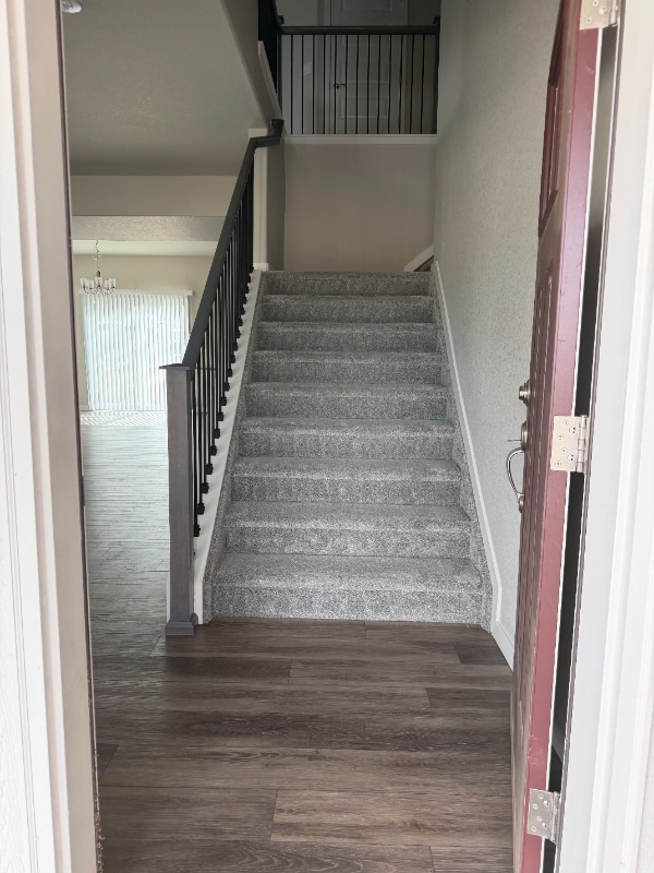 1225 Lily Mountain Rd in Windsor, CO - Building Photo - Building Photo