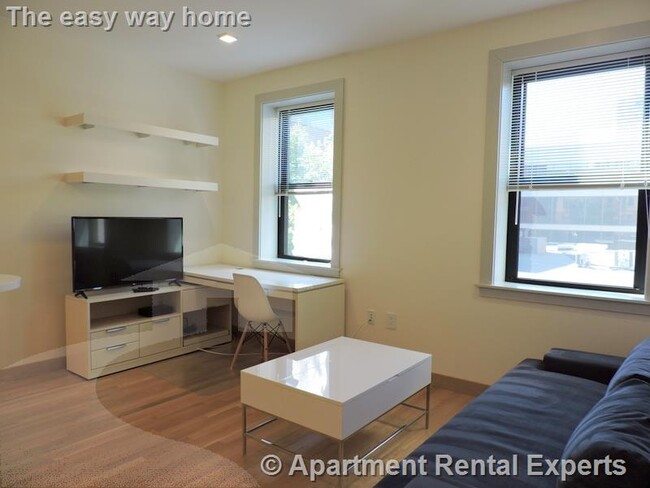 115 Mt Auburn St in Cambridge, MA - Building Photo - Building Photo