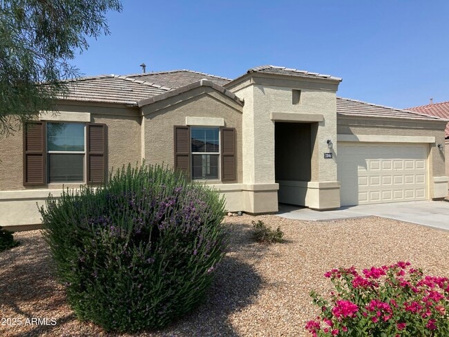 30461 W Picadilly Rd in Buckeye, AZ - Building Photo - Building Photo