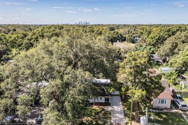 810 W Minnehaha St in Tampa, FL - Building Photo - Building Photo