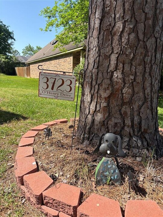 3723 O Henry Dr in Montgomery, TX - Building Photo