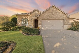16726 Aliana Lakes Ct in Richmond, TX - Building Photo