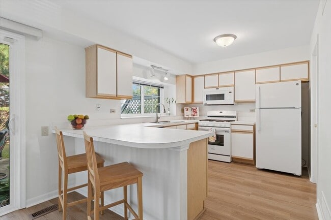 305 Cane Garden Cir in Aurora, IL - Building Photo - Building Photo