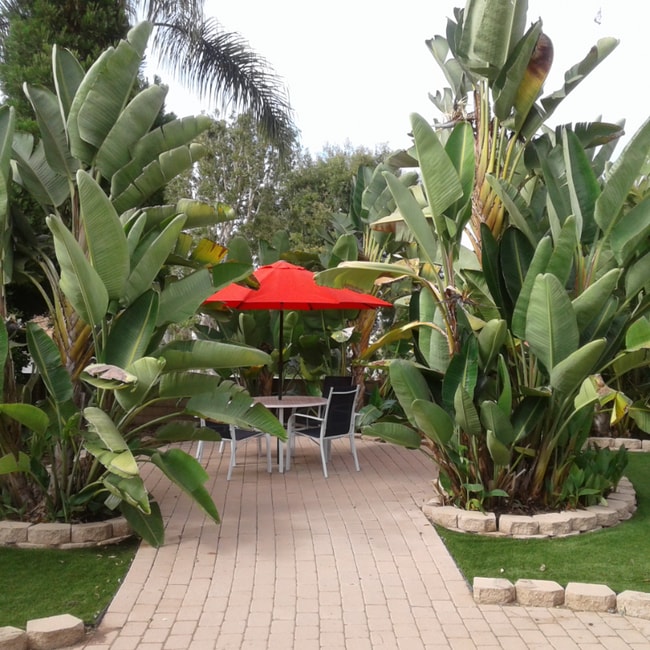 2696 Magellan Ln in Vista, CA - Building Photo - Building Photo