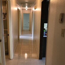 1202 Peach Spring Dr in Houston, TX - Foto de edificio - Building Photo