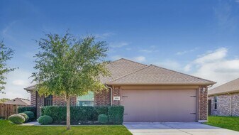 339 Carlyle St in Anna, TX - Building Photo