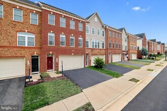 21234 Park Grove Terrace in Ashburn, VA - Building Photo - Building Photo