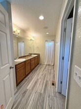 8333 Longleaf Ln in Colorado Springs, CO - Building Photo - Building Photo