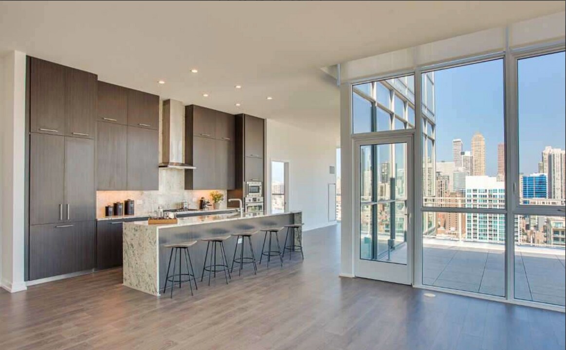 359 W Chicago Ave in Chicago, IL - Building Photo