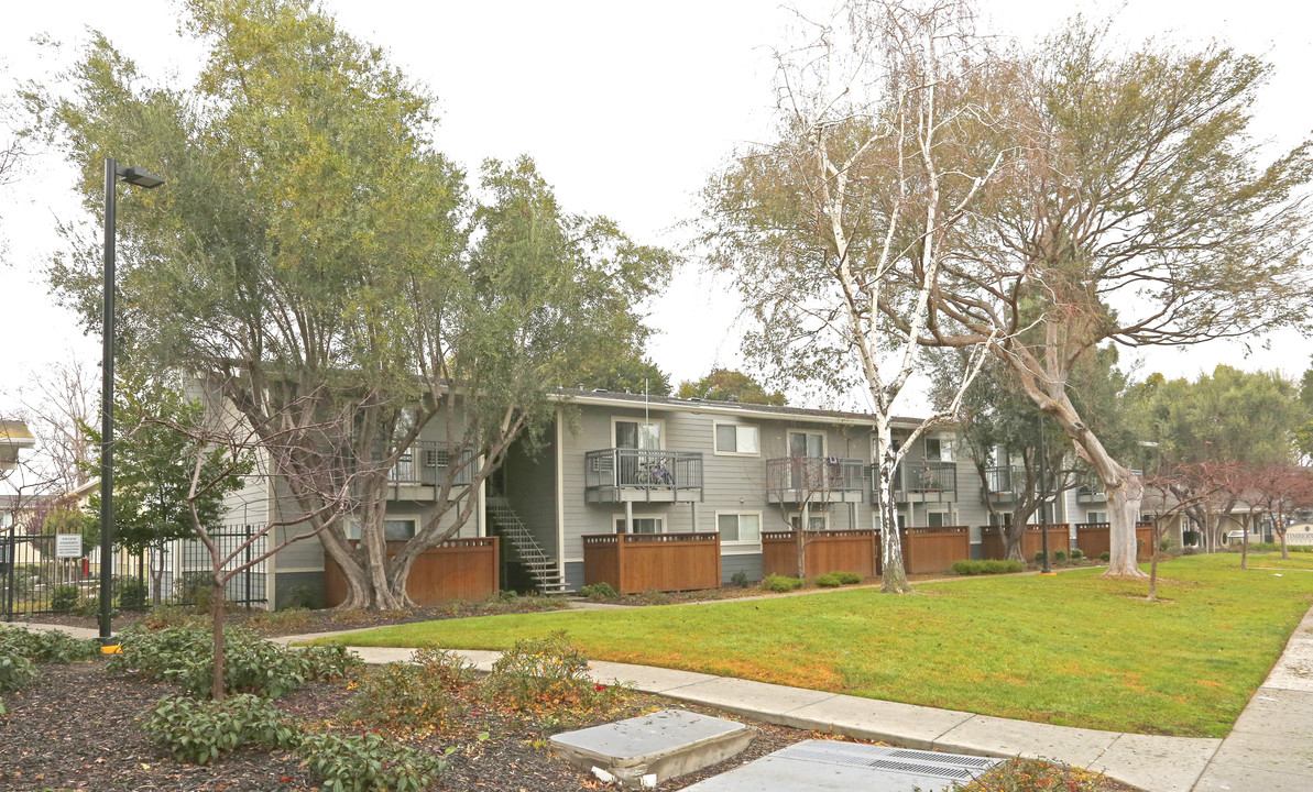 Timberwood Apartments in San Jose, CA - Building Photo