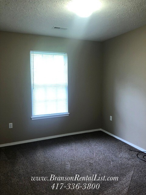 110 Humanity Ln in Branson, MO - Building Photo - Building Photo