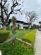 1806 Grevelia St in South Pasadena, CA - Building Photo - Building Photo