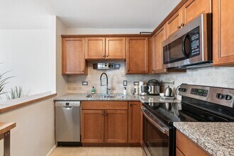 1255 N Sandburg Terrace in Chicago, IL - Building Photo - Building Photo