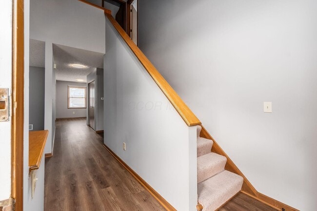 8308 Talia Ct in Westerville, OH - Building Photo - Building Photo