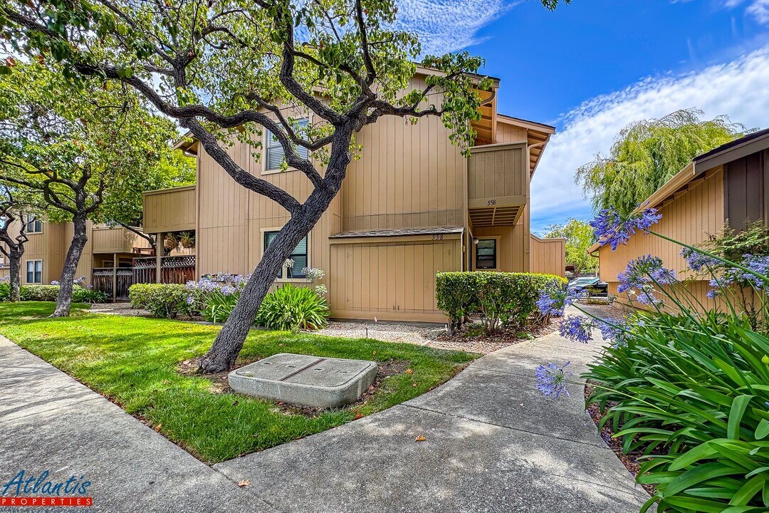 558 Ironwood Terrace in Sunnyvale, CA - Building Photo
