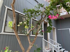 989 S Kihei Rd in Kihei, HI - Building Photo - Building Photo