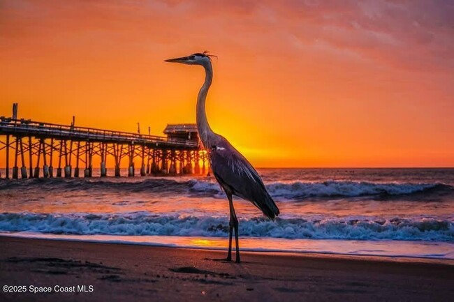 299 Chandler St in Cape Canaveral, FL - Building Photo - Building Photo