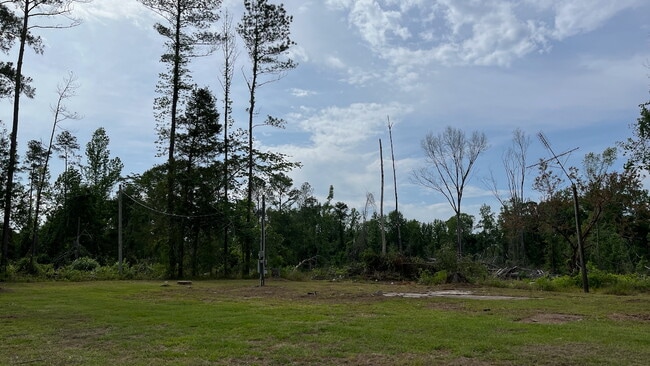 1519 Butter and Egg Rd in Troy, AL - Building Photo - Building Photo