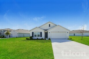 10844 Gentle Current Wy in Parrish, FL - Building Photo