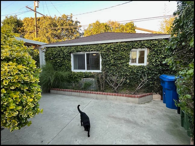 4350 Corinth Ave in Culver City, CA - Foto de edificio - Building Photo