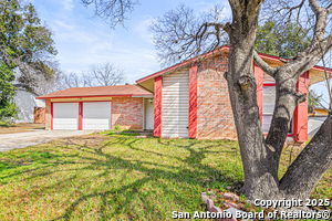 1066 Honey Tree St in San Antonio, TX - Building Photo - Building Photo