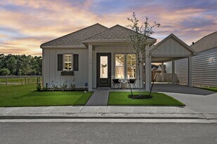 33455 Buckshot Ln in Magnolia, TX - Building Photo