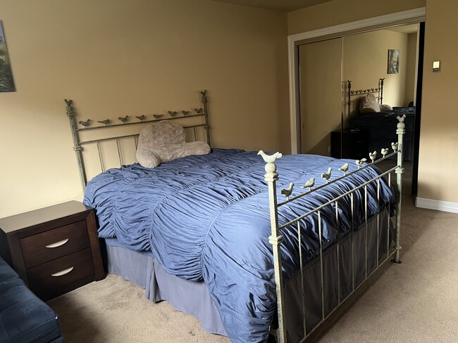 107 Spring Creek Ct in Edwards, CO - Building Photo - Building Photo