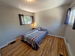 245 South Grant St, Unit 1 in Denver, CO - Building Photo - Building Photo