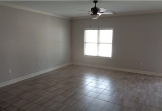 329 Countryview Cove in Oxford, MS - Building Photo - Building Photo