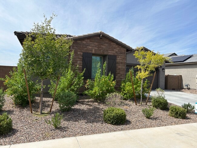 12391 W Via Caballo Blanco in Peoria, AZ - Building Photo - Building Photo