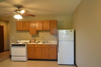 601 S Osteopathy Ave, Unit 4 in Kirksville, MO - Building Photo - Building Photo