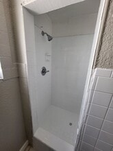 2326 Basse Rd in San Antonio, TX - Building Photo - Building Photo